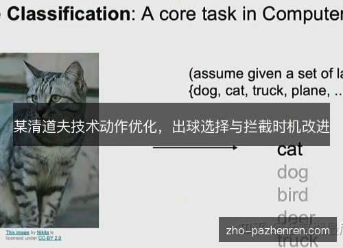 某清道夫技术动作优化，出球选择与拦截时机改进